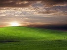 Fondos de escritorio y pantalla de Vegetación