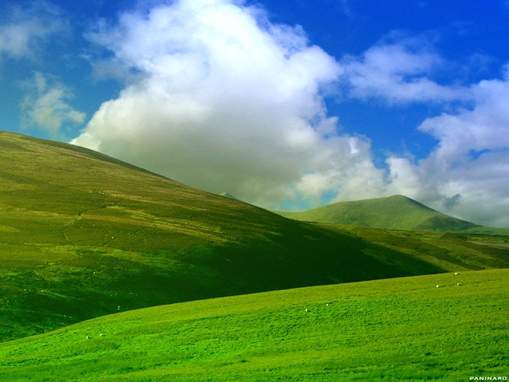 Previsualizacin del fondo